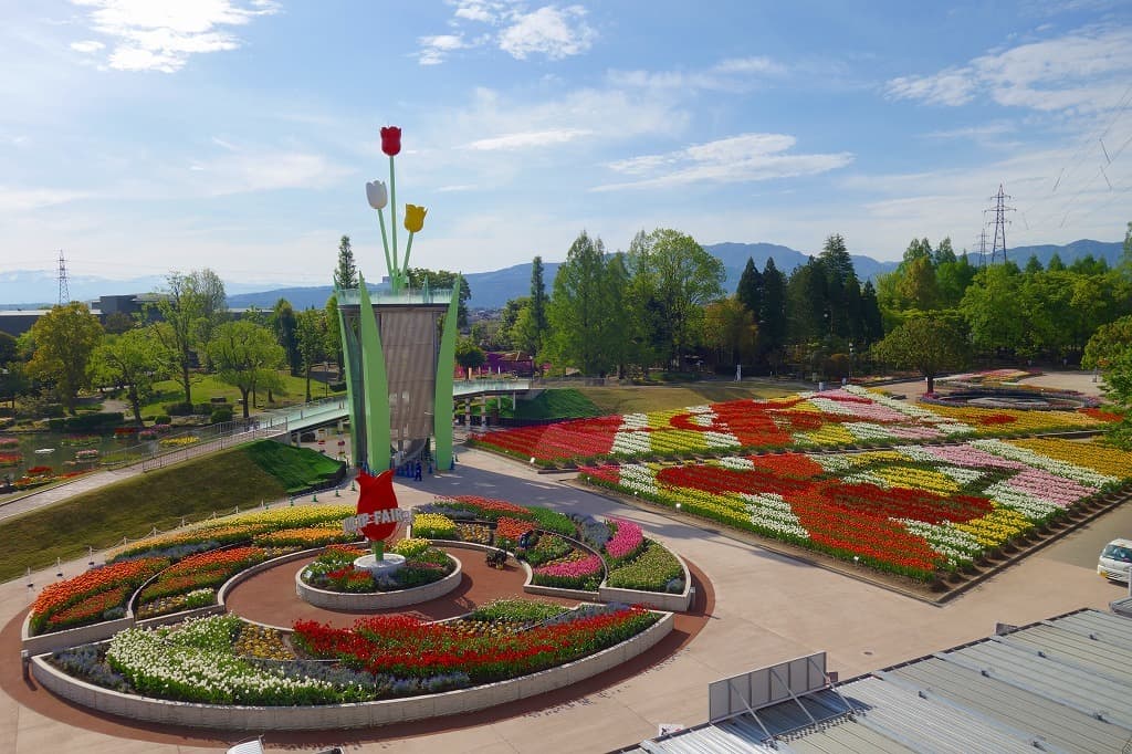 iwafu - Tonami Tulip Fair|Hokuriku Shinetsu Toyama|Japan Events ...