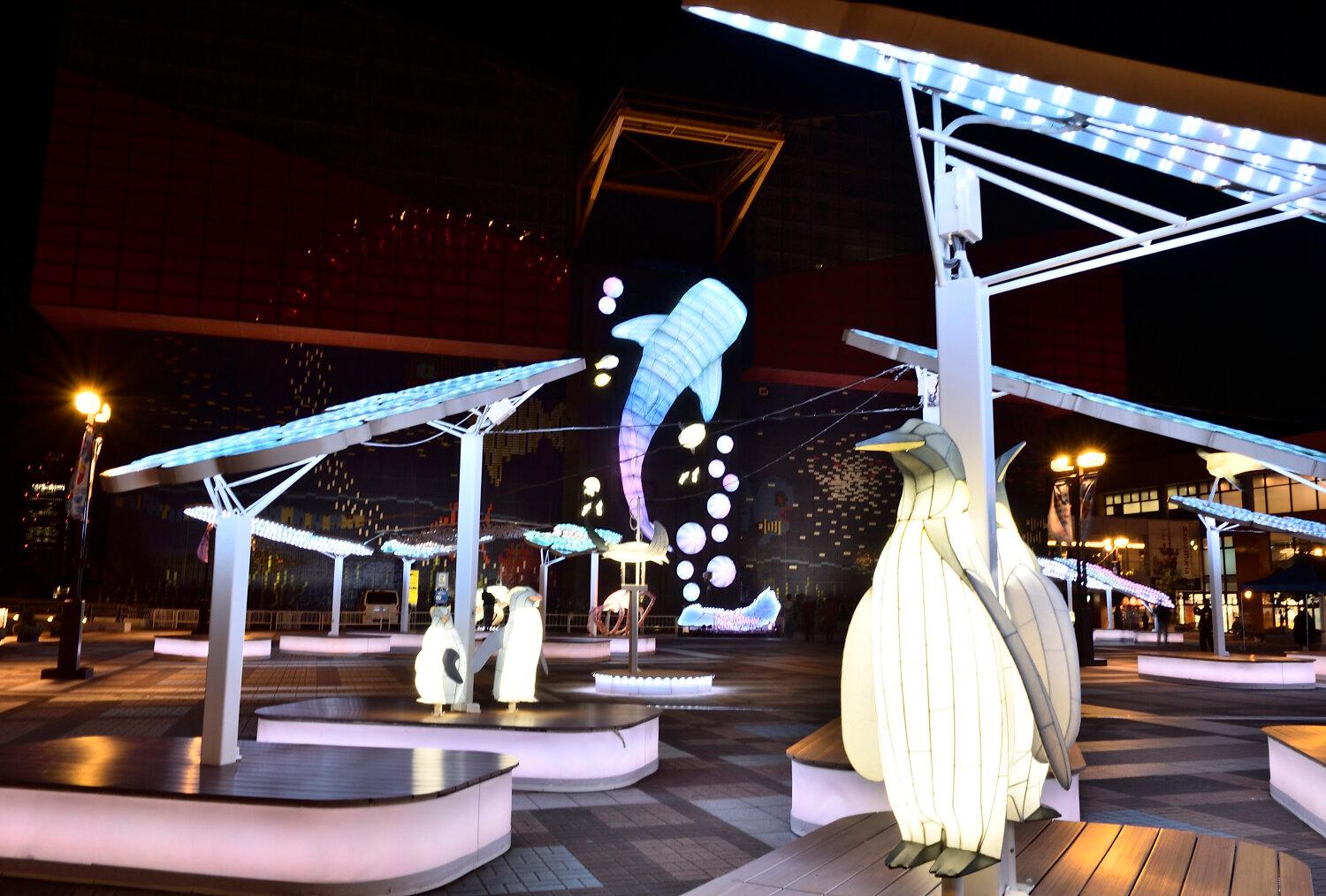 iwafu - 海遊館イルミネーション2025 Namima Soundscape｜関西 大阪