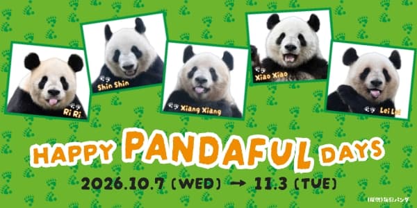 iwafu - 松坂屋上野店『HAPPY PANDAFUL DAYS』｜関東 東京｜日本期間