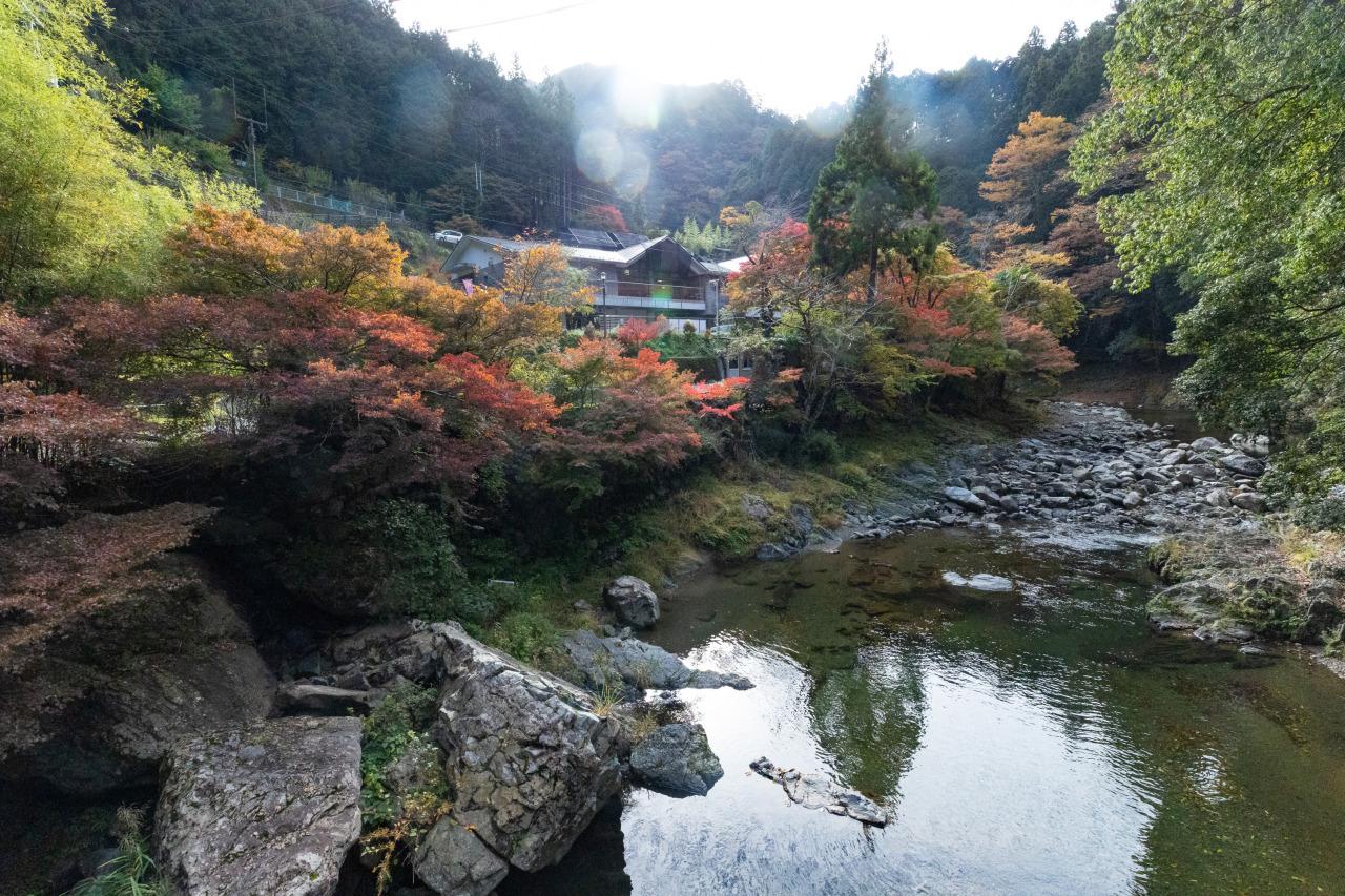 iwafu - 玉川峡枫叶｜关西和歌山｜日本期间限定文化旅游指南｜深度体验