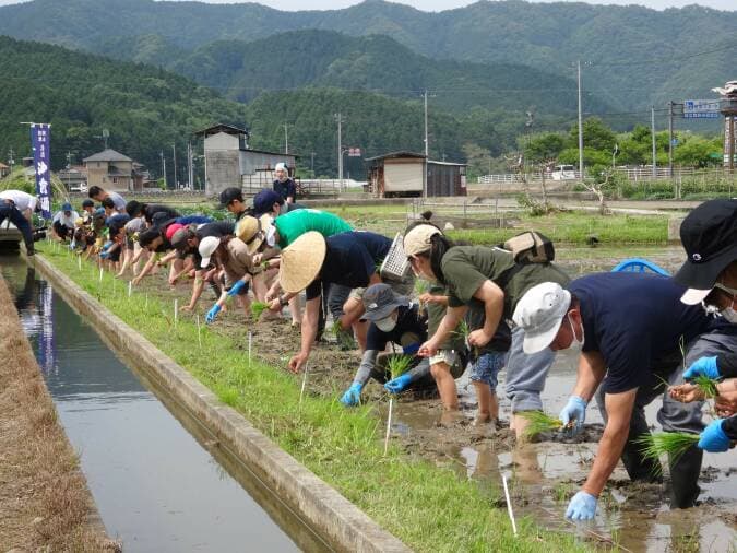 iwafu - "Maniwa Omachi Rice Planting Event 2026" Participants Wanted ...