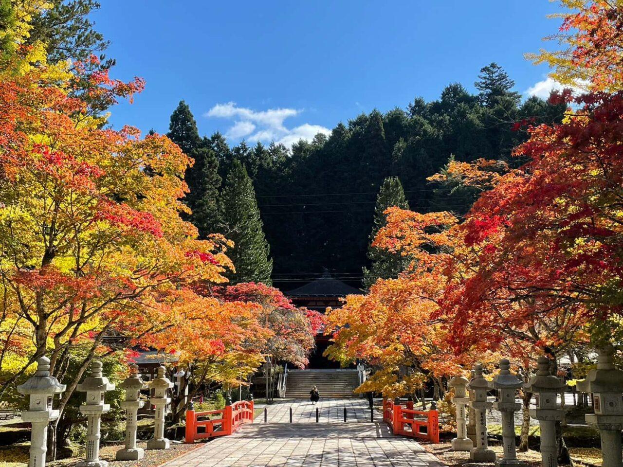 iwafu - 高野山の紅葉｜関西 和歌山｜日本期間限定文化旅行ガイド