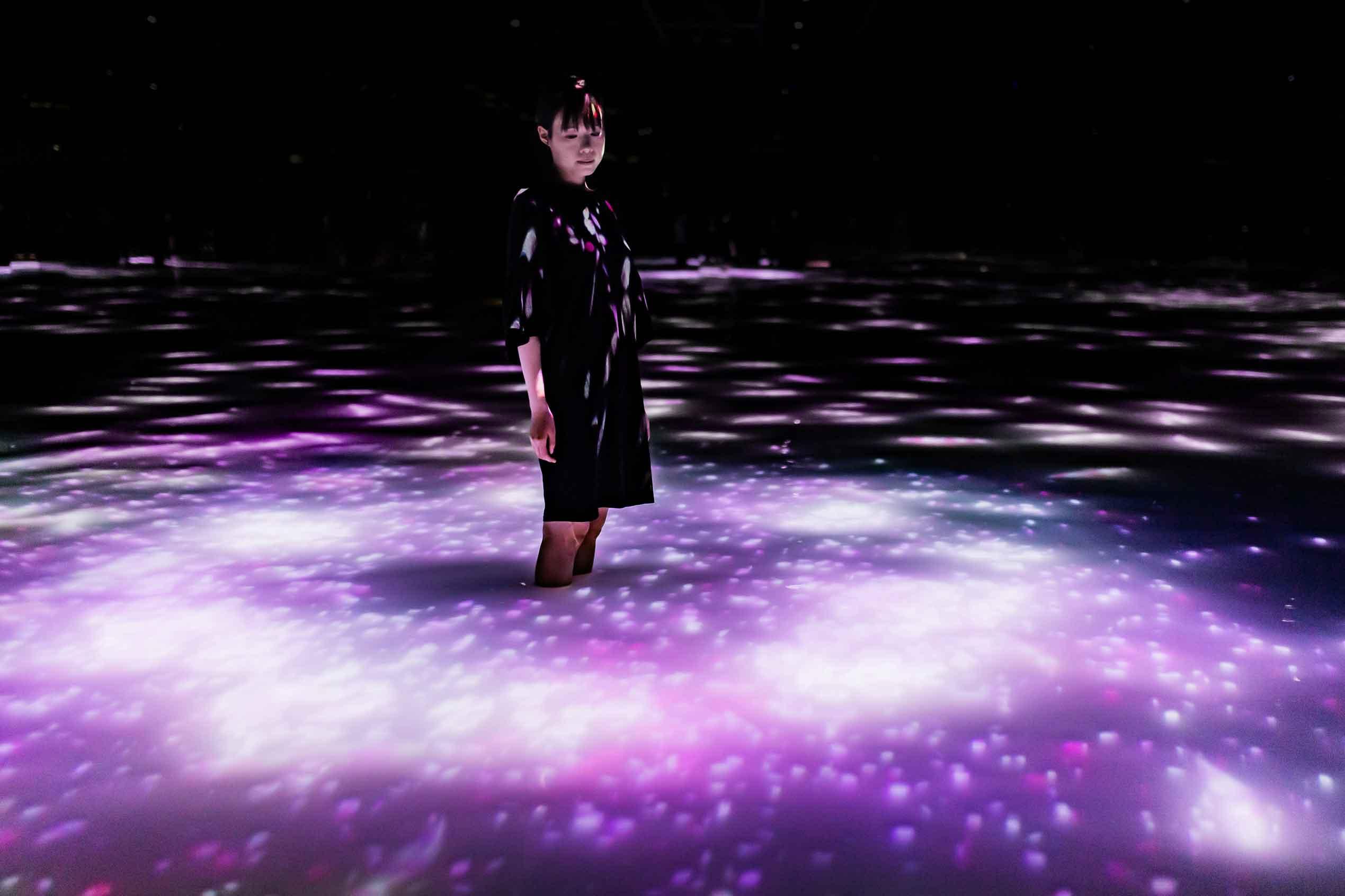 iwafu - teamLab Planets Spring Limited Exhibition｜Kanto Tokyo