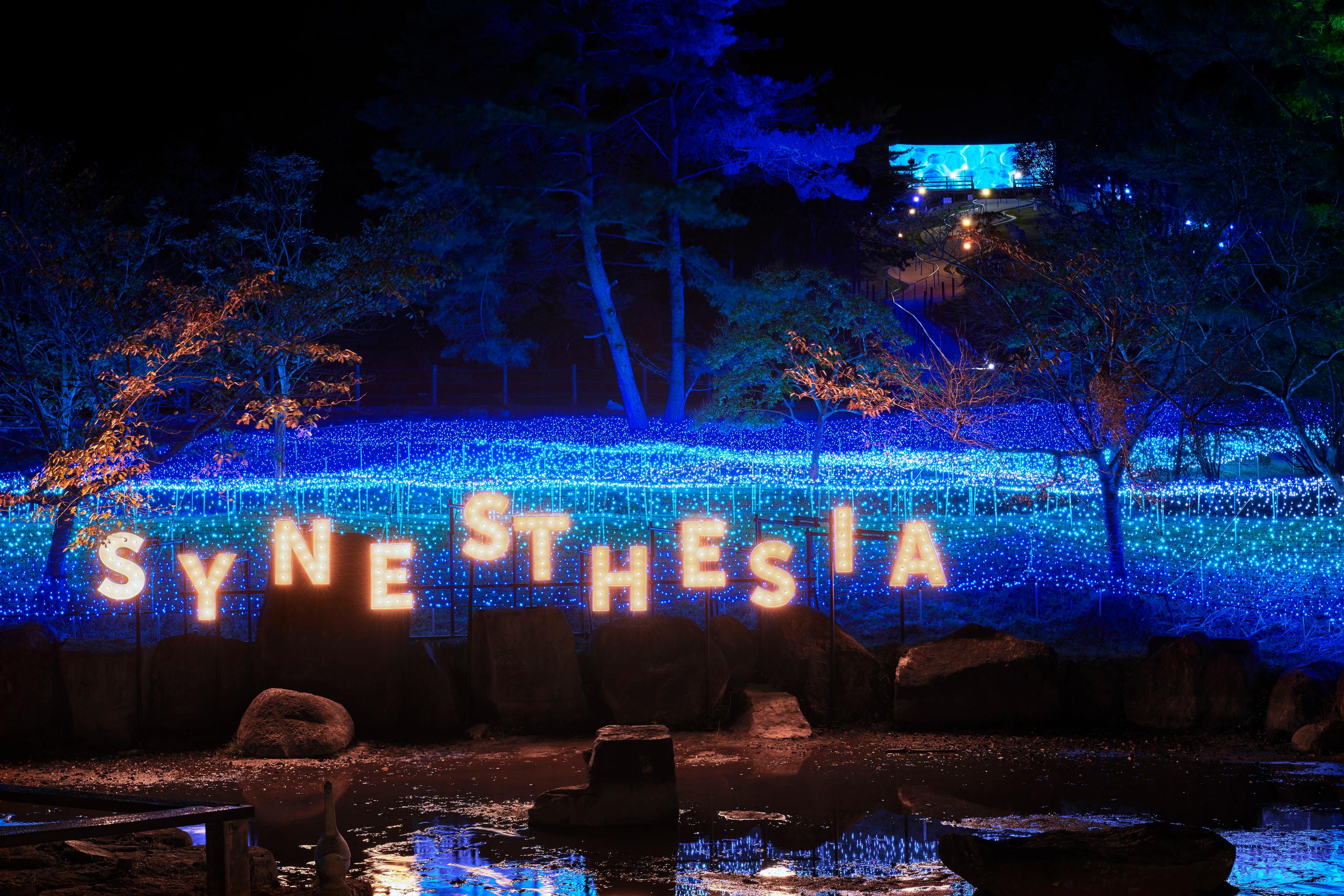 iwafu - Kyoto Illumination Synesthesia Hills Rurikei Onsen